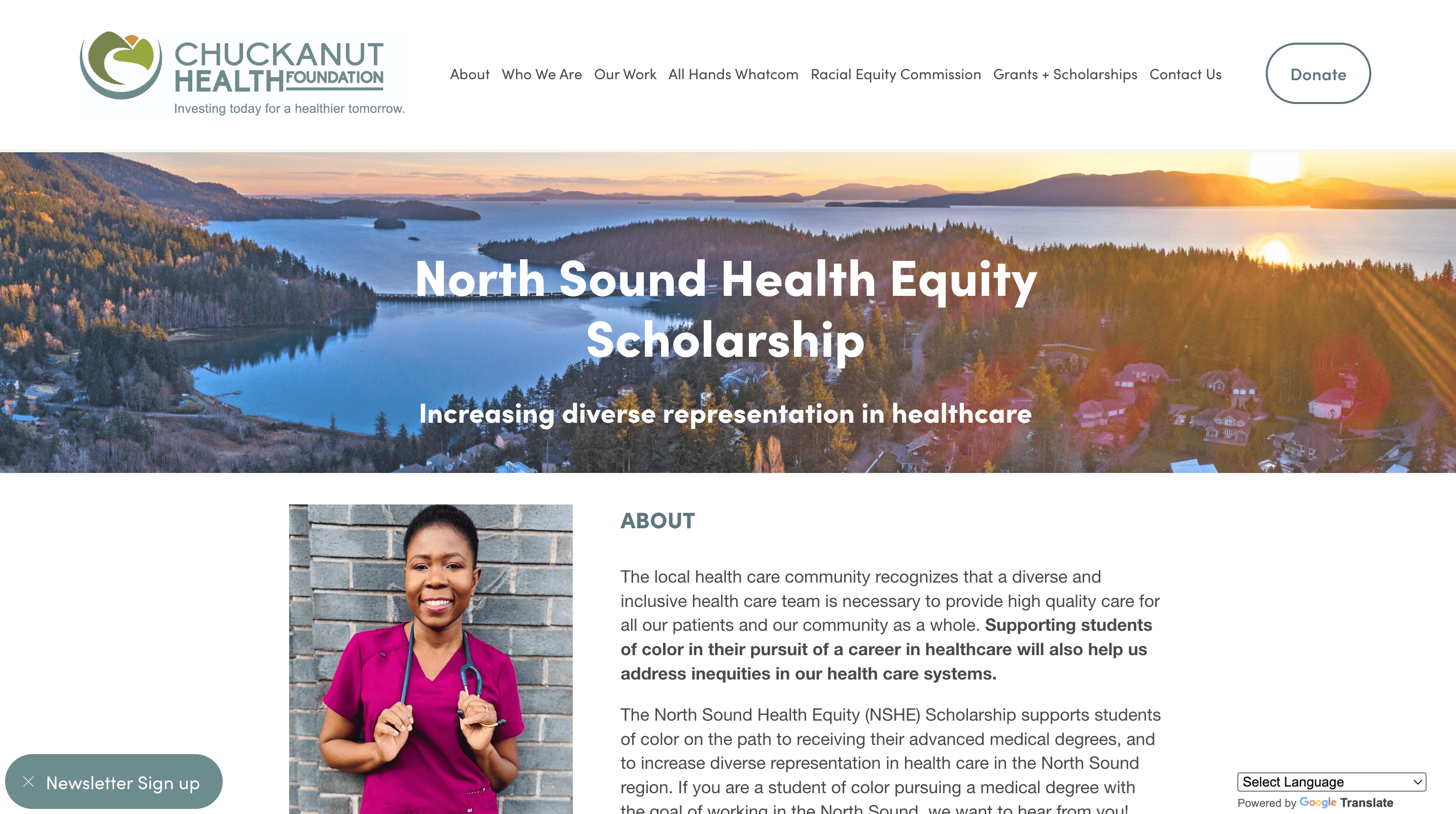 Preview of Health Equity Scholarship webpage